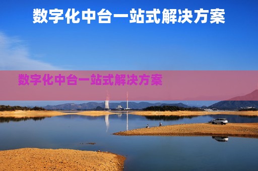 数字化中台一站式解决方案