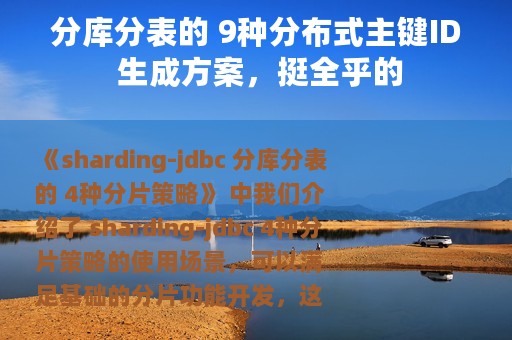分库分表的 9种分布式主键ID 生成方案，挺全乎的