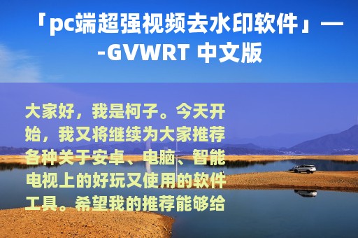 「pc端超强视频去水印软件」—-GVWRT 中文版