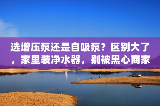 选增压泵还是自吸泵？区别大了，家里装净水器，别被黑心商家骗了