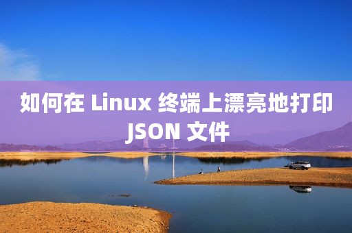 如何在 Linux 终端上漂亮地打印 JSON 文件