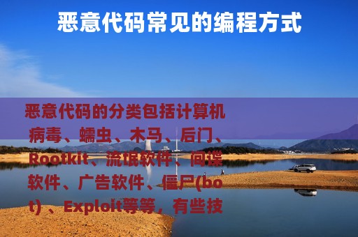 恶意代码常见的编程方式