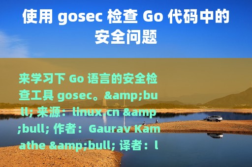 使用 gosec 检查 Go 代码中的安全问题