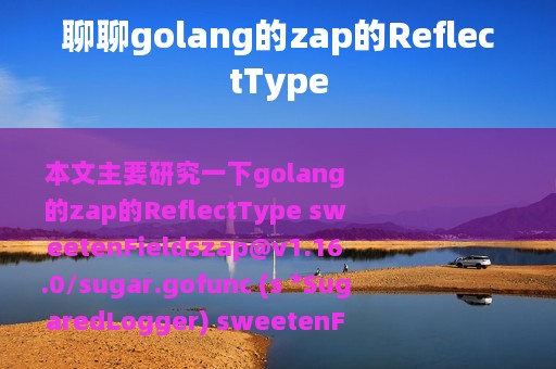聊聊golang的zap的ReflectType