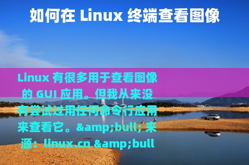 如何在 Linux 终端查看图像