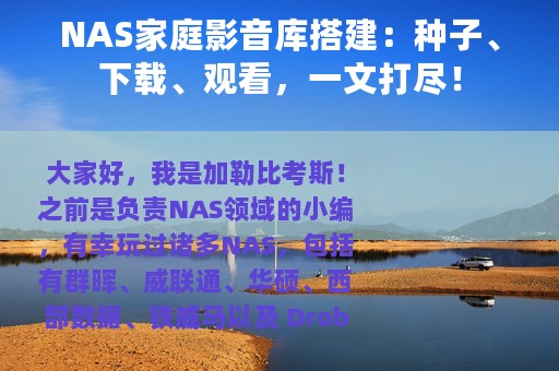 NAS家庭影音库搭建：种子、下载、观看，一文打尽！