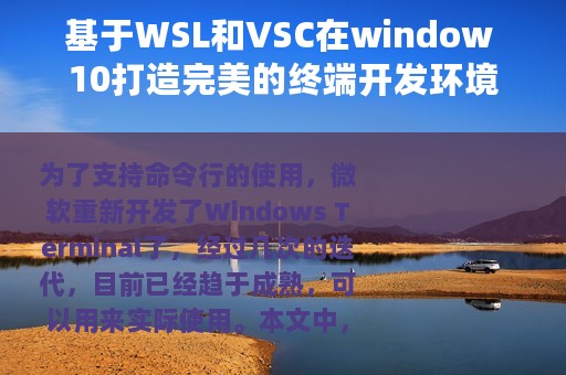 基于WSL和VSC在window 10打造完美的终端开发环境