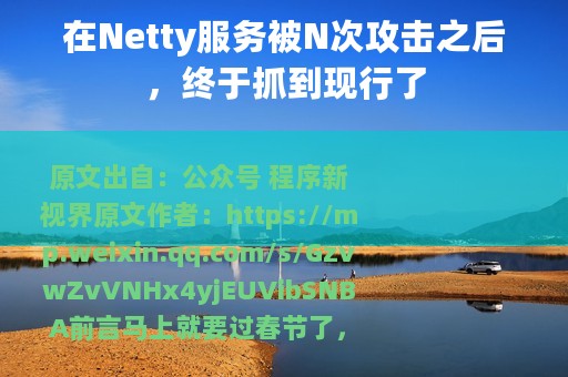 在Netty服务被N次攻击之后，终于抓到现行了