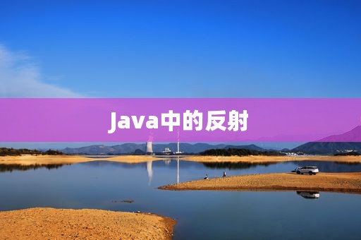 Java中的反射