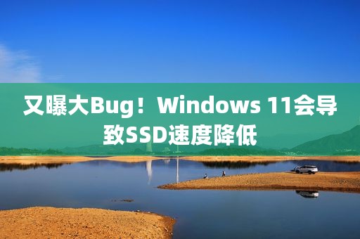 又曝大Bug！Windows 11会导致SSD速度降低