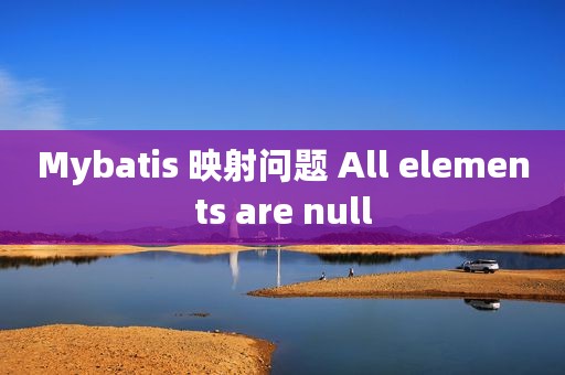 Mybatis 映射问题 All elements are null
