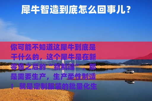 犀牛智造到底怎么回事儿？