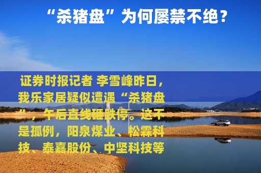 “杀猪盘”为何屡禁不绝？