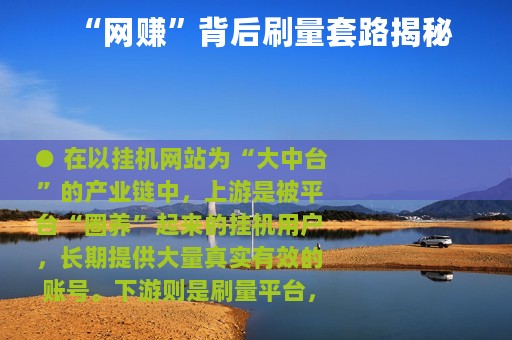 “网赚”背后刷量套路揭秘