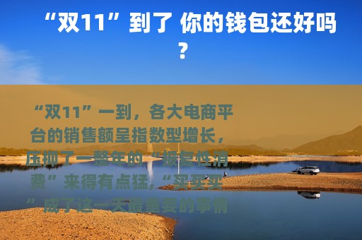 “双11”到了 你的钱包还好吗？