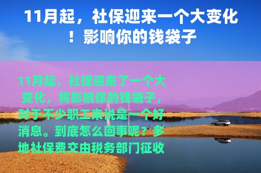11月起，社保迎来一个大变化！影响你的钱袋子