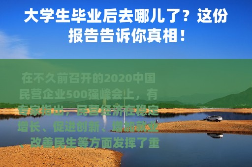 大学生毕业后去哪儿了？这份报告告诉你真相！