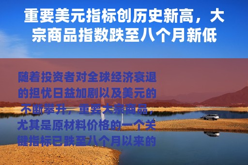 重要美元指标创历史新高，大宗商品指数跌至八个月新低