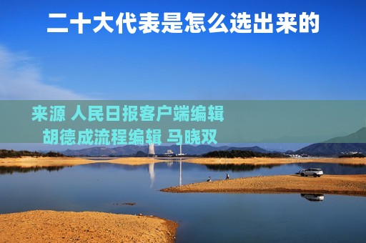 二十大代表是怎么选出来的