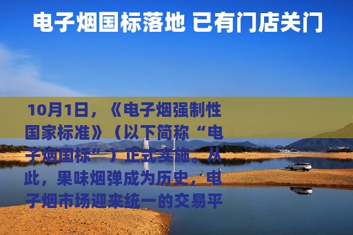 电子烟国标落地 已有门店关门