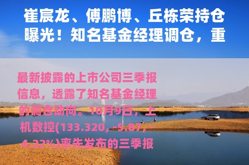 崔宸龙、傅鹏博、丘栋荣持仓曝光！知名基金经理调仓，重仓股可能生变