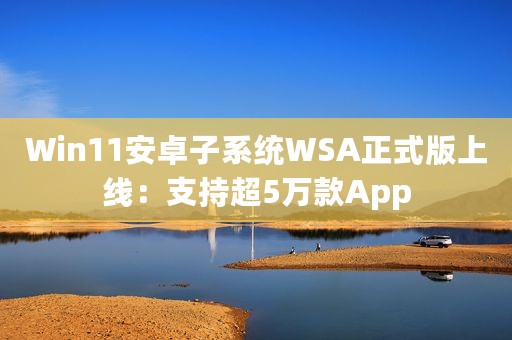 Win11安卓子系统WSA正式版上线：支持超5万款App
