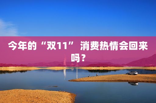 今年的“双11” 消费热情会回来吗？