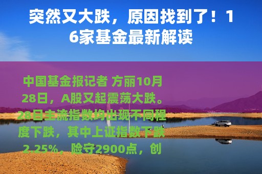 突然又大跌，原因找到了！16家基金最新解读