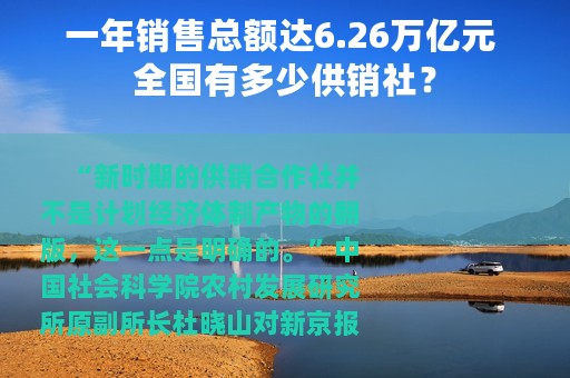 一年销售总额达6.26万亿元 全国有多少供销社？