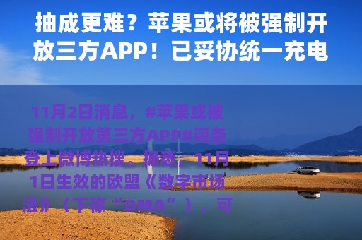 抽成更难？苹果或将被强制开放三方APP！已妥协统一充电接口