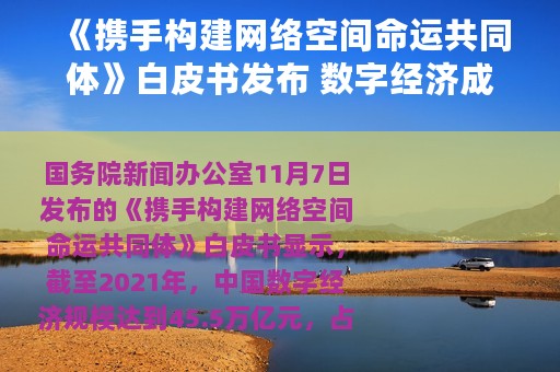 《携手构建网络空间命运共同体》白皮书发布 数字经济成推动经济增长主引擎之一