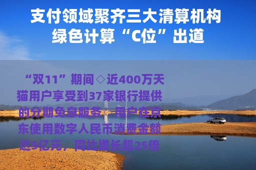 支付领域聚齐三大清算机构 绿色计算“C位”出道