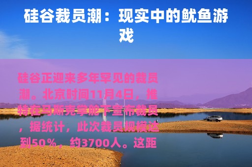 硅谷裁员潮：现实中的鱿鱼游戏