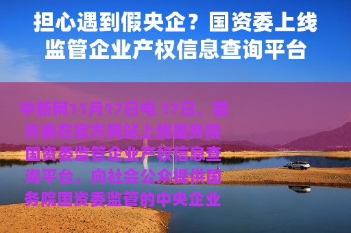 担心遇到假央企？国资委上线监管企业产权信息查询平台