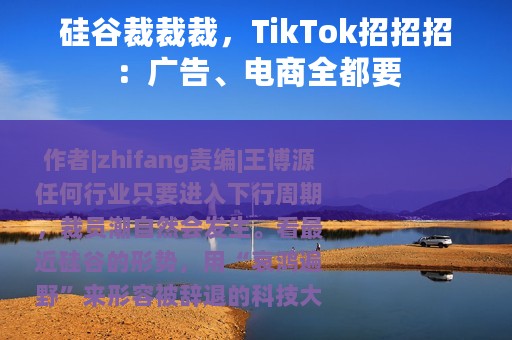 硅谷裁裁裁，TikTok招招招：广告、电商全都要