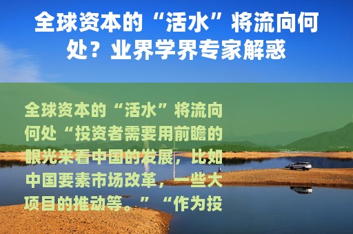 全球资本的“活水”将流向何处？业界学界专家解惑