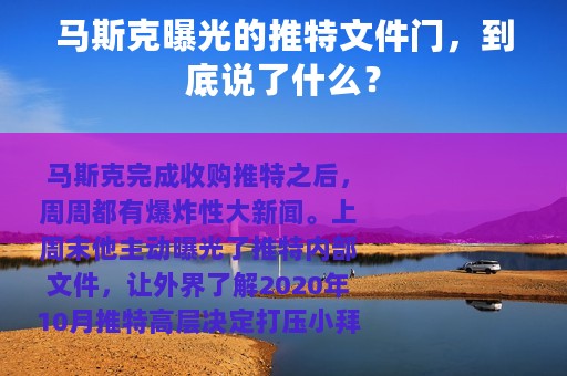马斯克曝光的推特文件门，到底说了什么？