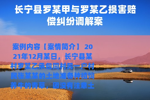 长宁县罗某甲与罗某乙损害赔偿纠纷调解案