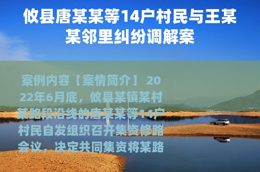 攸县唐某某等14户村民与王某某邻里纠纷调解案