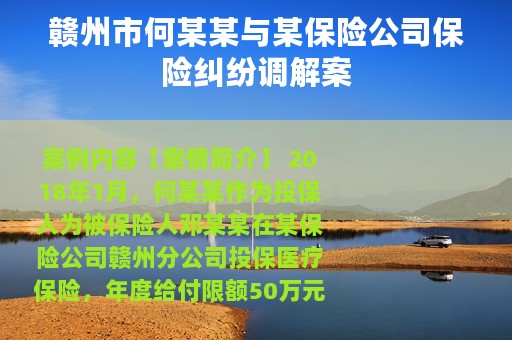 赣州市何某某与某保险公司保险纠纷调解案