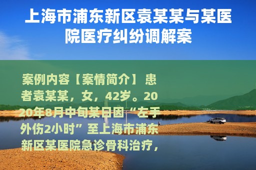 上海市浦东新区袁某某与某医院医疗纠纷调解案