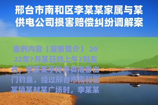 邢台市南和区李某某家属与某供电公司损害赔偿纠纷调解案