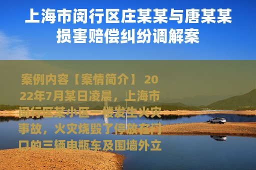 上海市闵行区庄某某与唐某某损害赔偿纠纷调解案