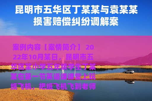 昆明市五华区丁某某与袁某某损害赔偿纠纷调解案