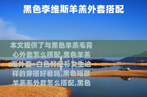 黑色李维斯羊羔外套搭配