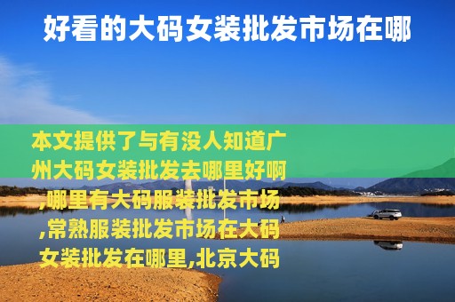 好看的大码女装批发市场在哪
