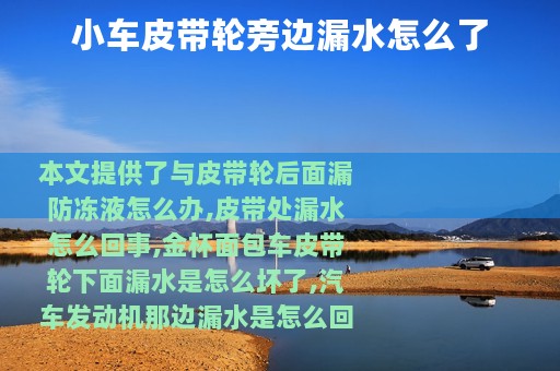 小车皮带轮旁边漏水怎么了