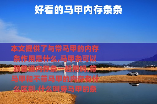 好看的马甲内存条条