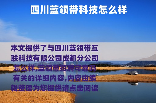 四川蓝领带科技怎么样