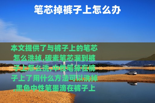 笔芯掉裤子上怎么办